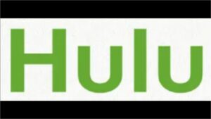 【見たい作品を高い自由度で楽しもう！】動画配信サービス-Hulu